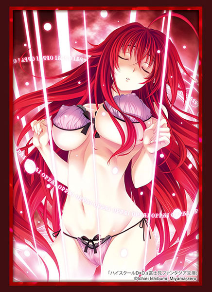 High School DxD Rias Gremory