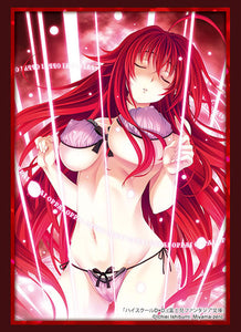 High School DxD Rias Gremory